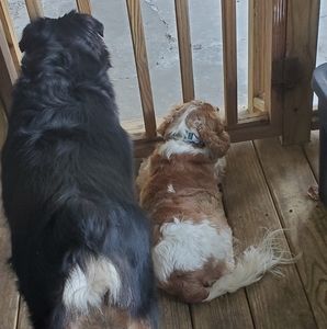 Meet your Posher, Ruth